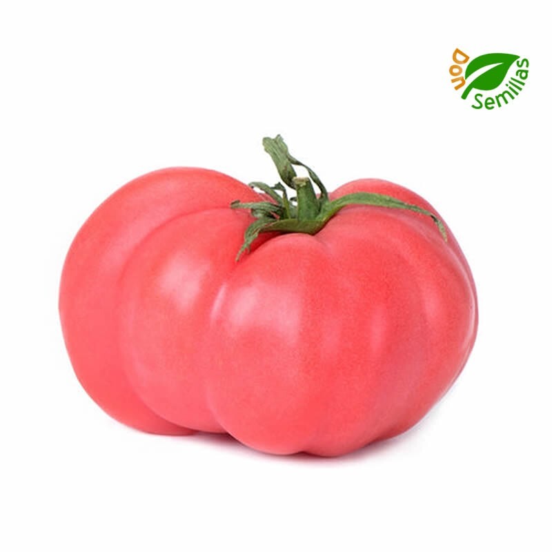 Tomate Huevo de Toro ( 50 semillas ) seeds