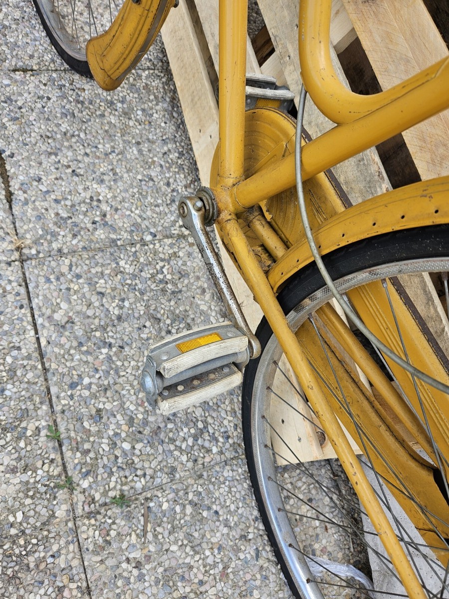 Bici d'epoca - di Gianluca Tamagnini