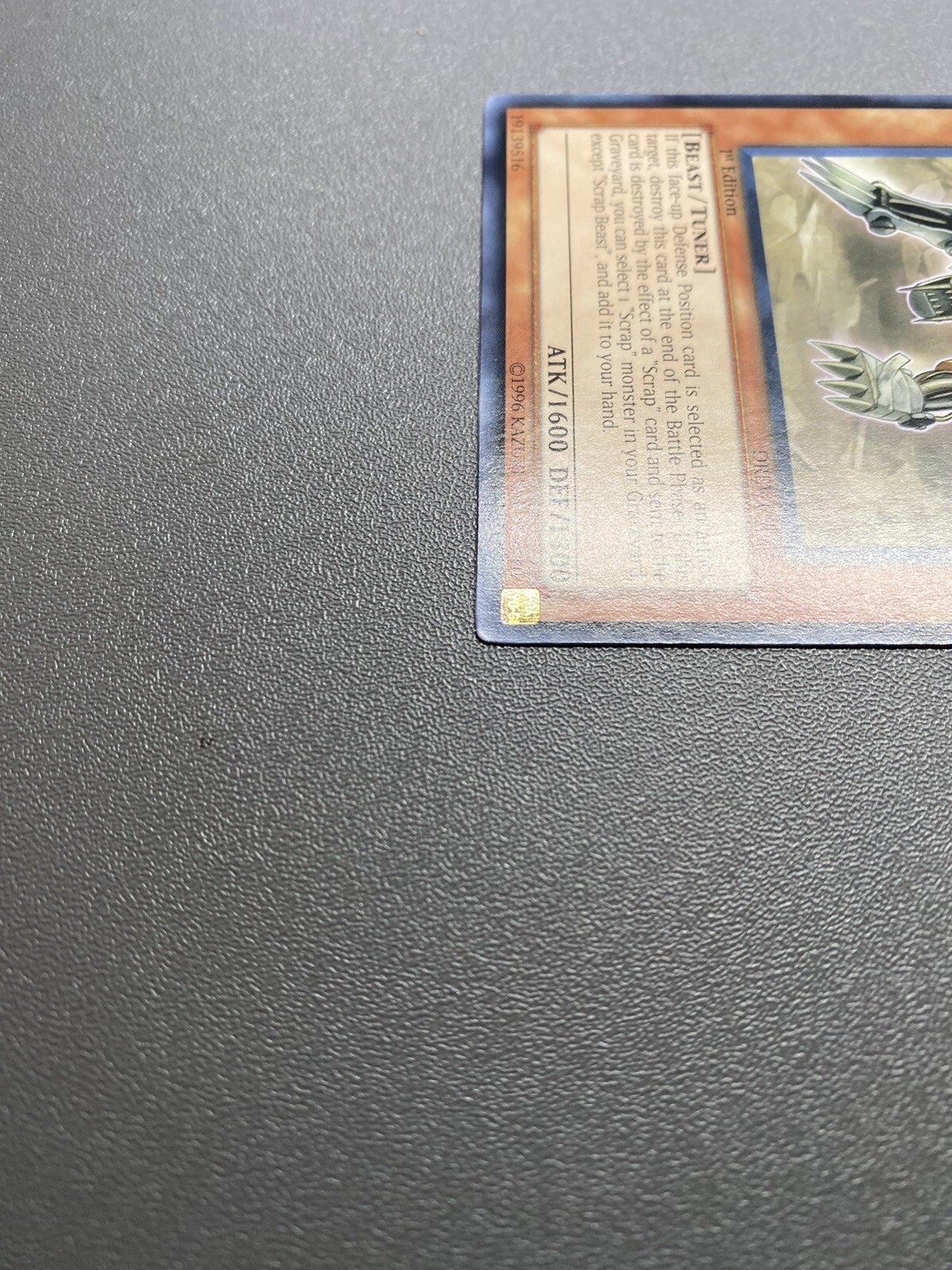 Picture 11 of 24