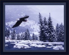 Free Flight Eagle Panel Cotton Fabric