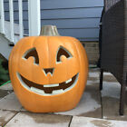Picture 8 of 24