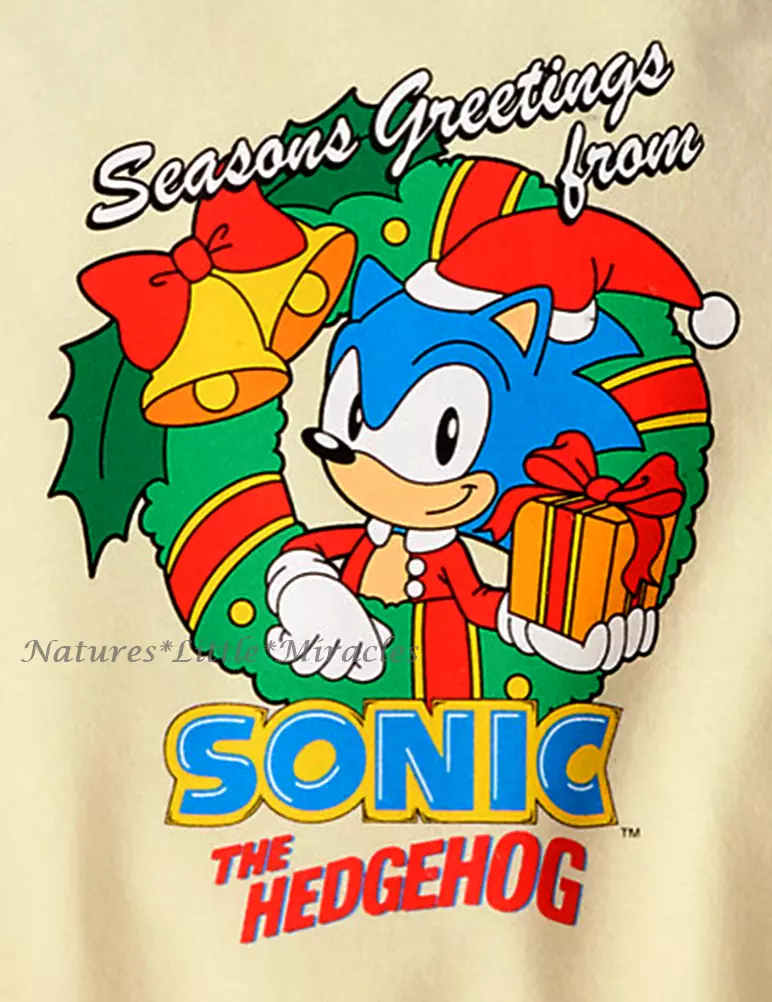 A Fan Made Sonic Movie 2 Poster - Sketchers United