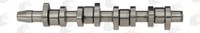 AE CAM904 Nockenwelle FüR Audi, Seat, Skoda, Vw, VW (Svw)