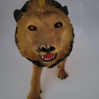 Picture 3 of 8