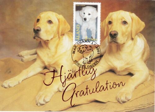 Maxi carta Golden Retriever cani Aland carino cucciolo Aland Finlandia FDC 2001 - Foto 1 di 1