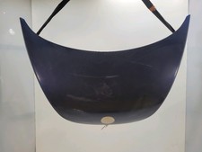 Capot Volkswagen NEW BEETLE