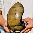 5.08LB Natural Turtle Back Stone Dragon Crystal Cave Crack Gem Healing — photo 8