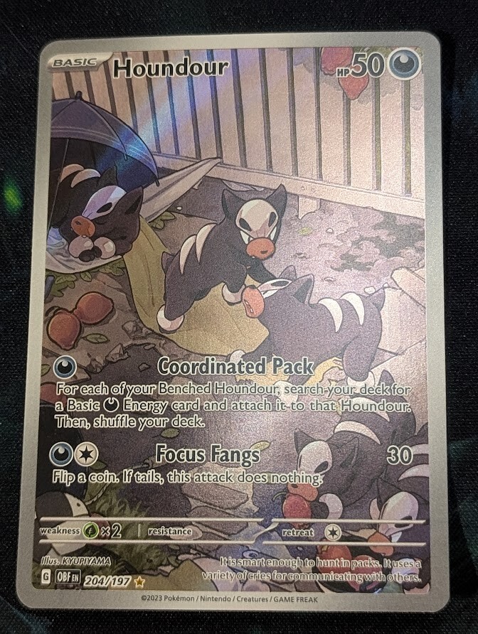 Houndour 204/197 -NM- Pokemon Card