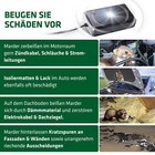 Bild 4 von 7