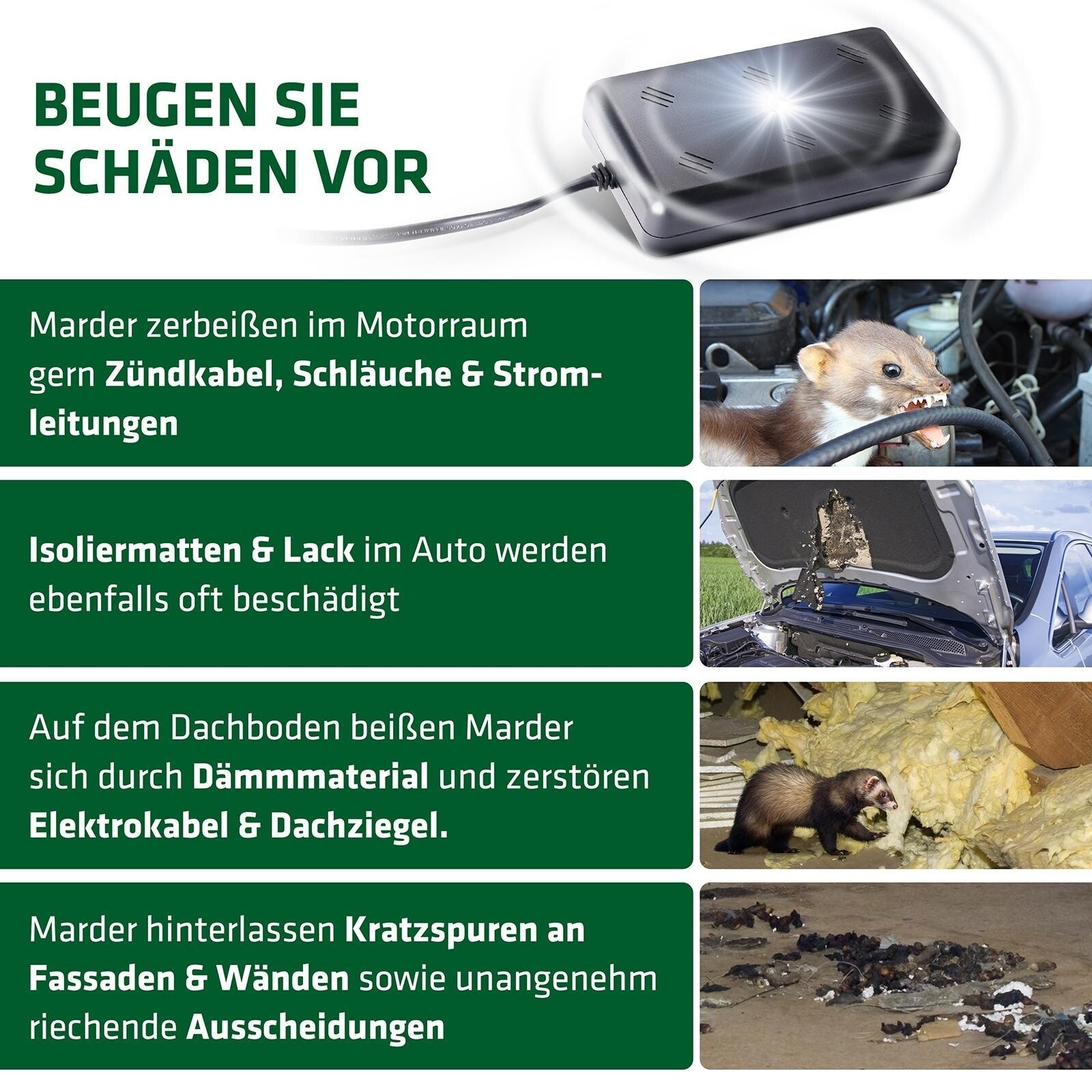 Bild 4 von 7