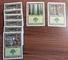 8x Forest Basic Land - Starter 1999 - LP - mtg SPARROW MAGIC