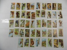 Gallaher Cigarette Cards Wild Animals 1937 Complete Set 48