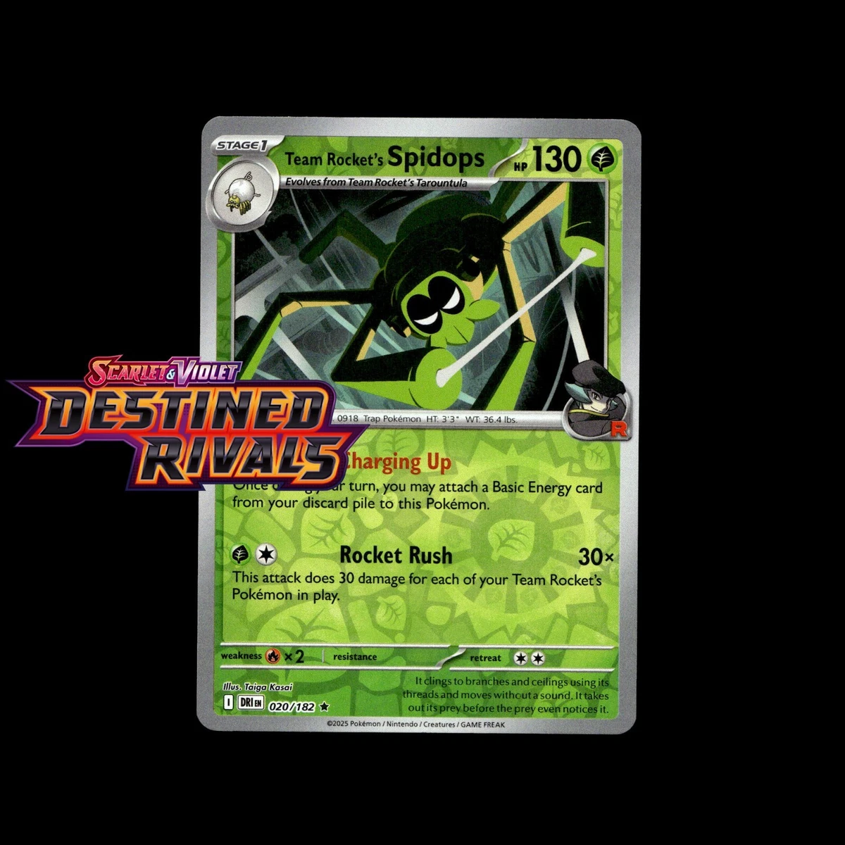 25+ Team Rocket's Spidops 020/182 Sv10: Destined Rivals for sale