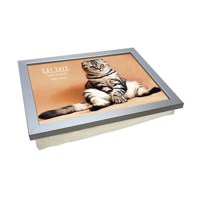 Cat Lazy Lap Tray - gepolstertes Tablett mit süßem schlafendem Katzendesign, Geschenk, süß