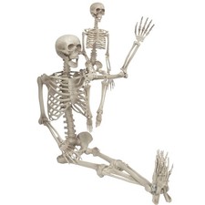 Life-Size Posable Skeletons 2 Pack: Adult Child, Indoor/Outdoor Halloween D...
