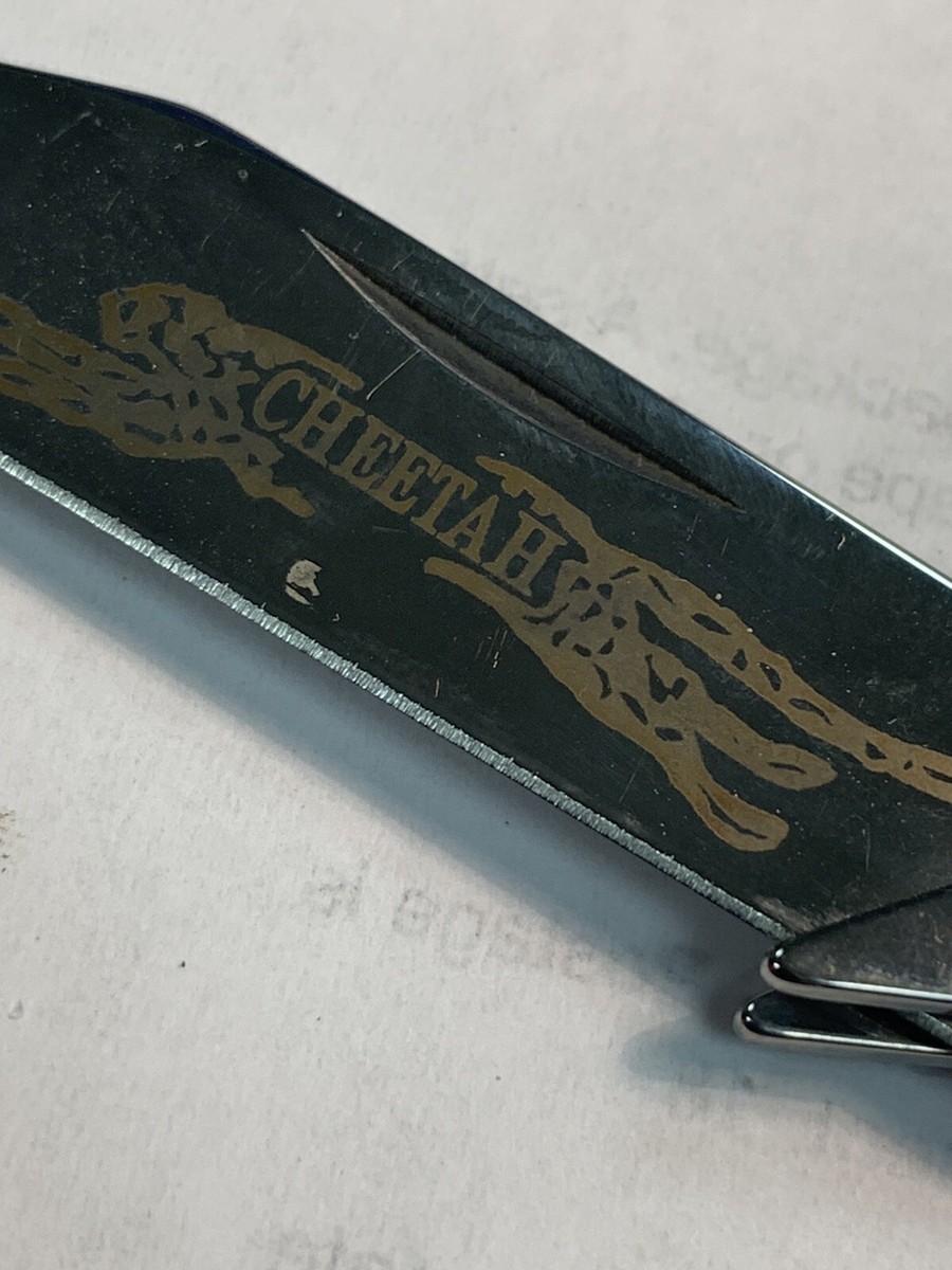 2005 Case XX 6111 1/2L SS Cheetah Pocket Blue Bone Handle 2005 Case XX 6111 1/2L SS Cheetah Pocket Blue Bone Handle