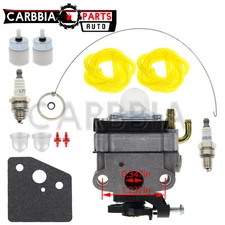 Carburetor For Troy-Bilt TB425CS Trimmer Carb + Gasket+ Fuel line 753-04296 New