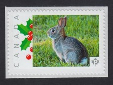 WILD RABBIT = HARE = BUNNY = Picture Postage stamp MNH Canada 2015 [p15-12sn2]