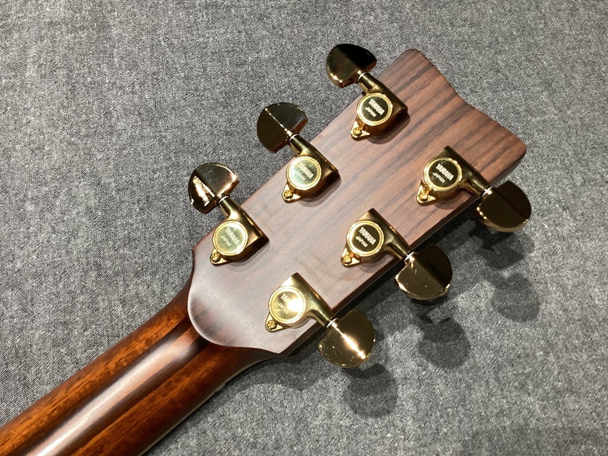 YAMAHA LL36 ARE + l.r.baggs lyric 【公式通販】