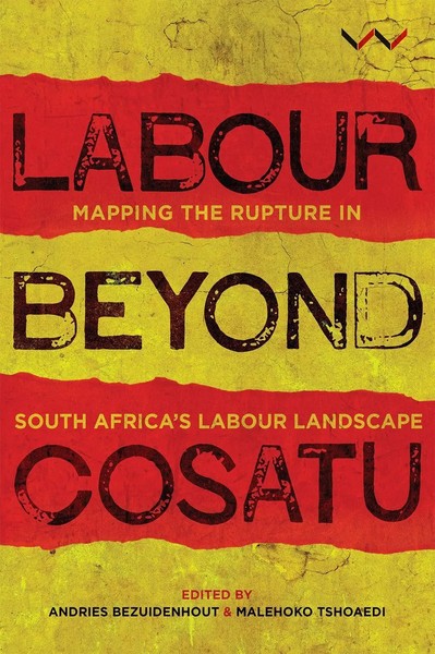 Labour Beyond Cosatu Mapping The Rupture In South Africa's Labour Landscape Buch-image