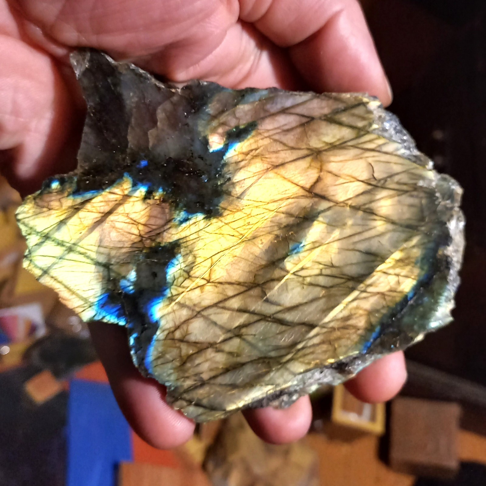 Anschliff Rohstein Labradorit Labradorite Mondstein Nr.47 Spektrolit Fantasie Anschliff Rohstein Labradorit Labradorite Mondstein Nr.47 Spektrolit Fantasie