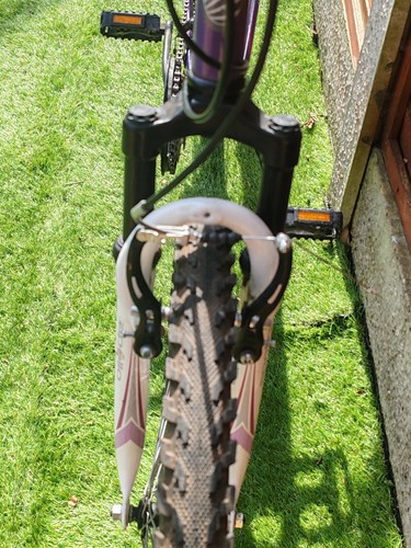 APOLLO TWILIGHT Mountainbike - Bild 5 von 6