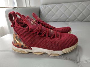 leopard lebron 16