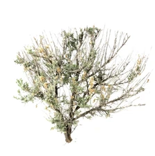 5 14" MINIATURE RAILWAY TREES LARGE SCALE SAGEBRUSH MODEL RAILROAD ARMATURES