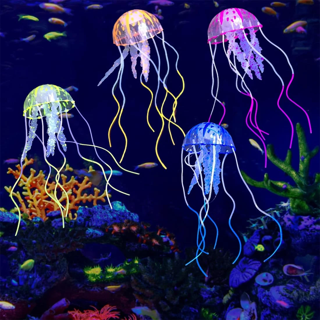 Quallen Aquarium online kaufen | eBay.de
