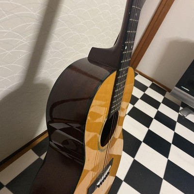 Acoustic Guitar Takamine T-Series T-P2N Model Natural | eBay