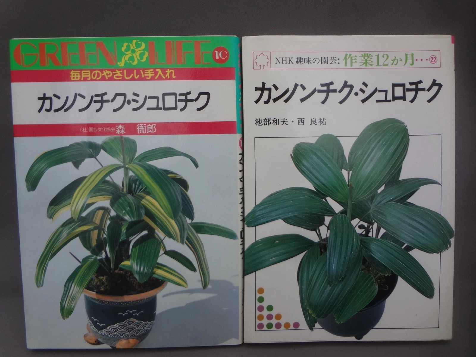 (USED) Rhapis excelsa + Rhapis humilis Complete Book (Kannonchiku)- 2 books set