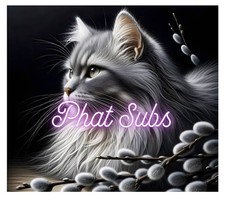 20oz Sublimation Tumbler Wrap Silver Cat Ready To Press Heat Transfer