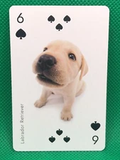 Labrador Retriecer Spade 6 THE DOG Playing card  Artlist Collection Japan