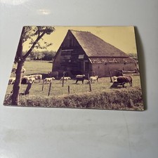 Texel Den Burg fattoria Olanda Settentrionale Paesi Bassi