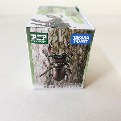 タエニア　TAENIA Zinnia F1 Dreamland™ Series - American Takii