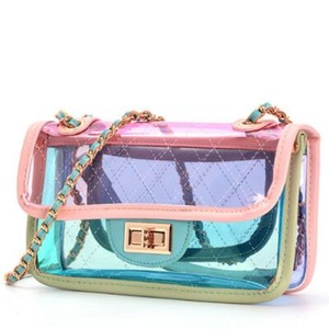 clear plastic beach bolsa