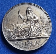 REGNO D'ITALIA UMBERTO I° SAVOIA MEDAGLIA 1882 CONCORSO AGRARIO SIENA PIERONI FI