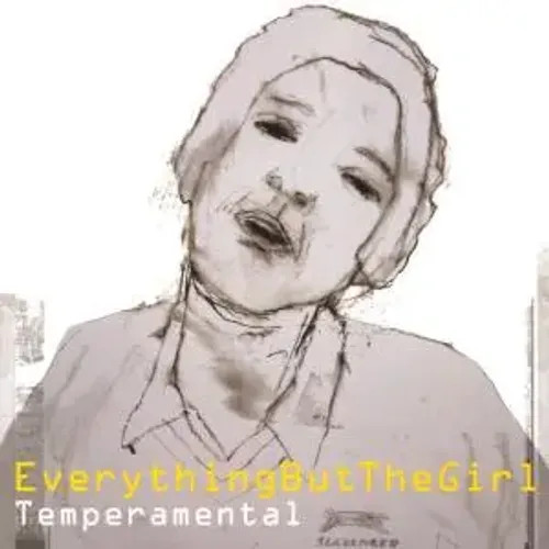 Temperamental | Everything But The Girl | Audio-Cd | CD | 1999 | Virgin-image