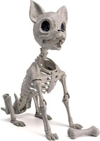 Halloween Kunststoff Chihuahua Hund Skelett 32 Cm Kunststoff Welpenknochen Skele