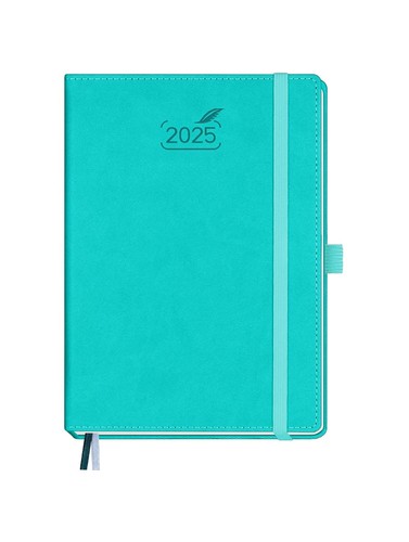2025 Planner Daily Weekly & Monthly 5.8" x 8.5" (Jan - Dec 2025) Agenda 2025 ...