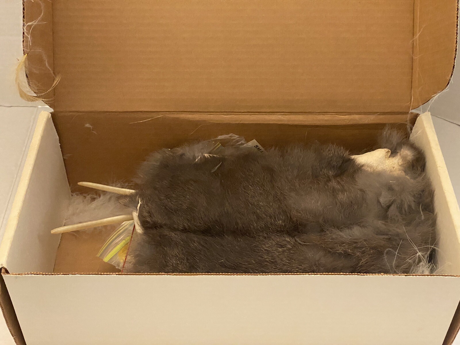 Vintage Orvis Fly Tying Kit eBay