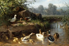 Art Giclee Printed Oil Painting Print Ducks and ducklings put in the stream