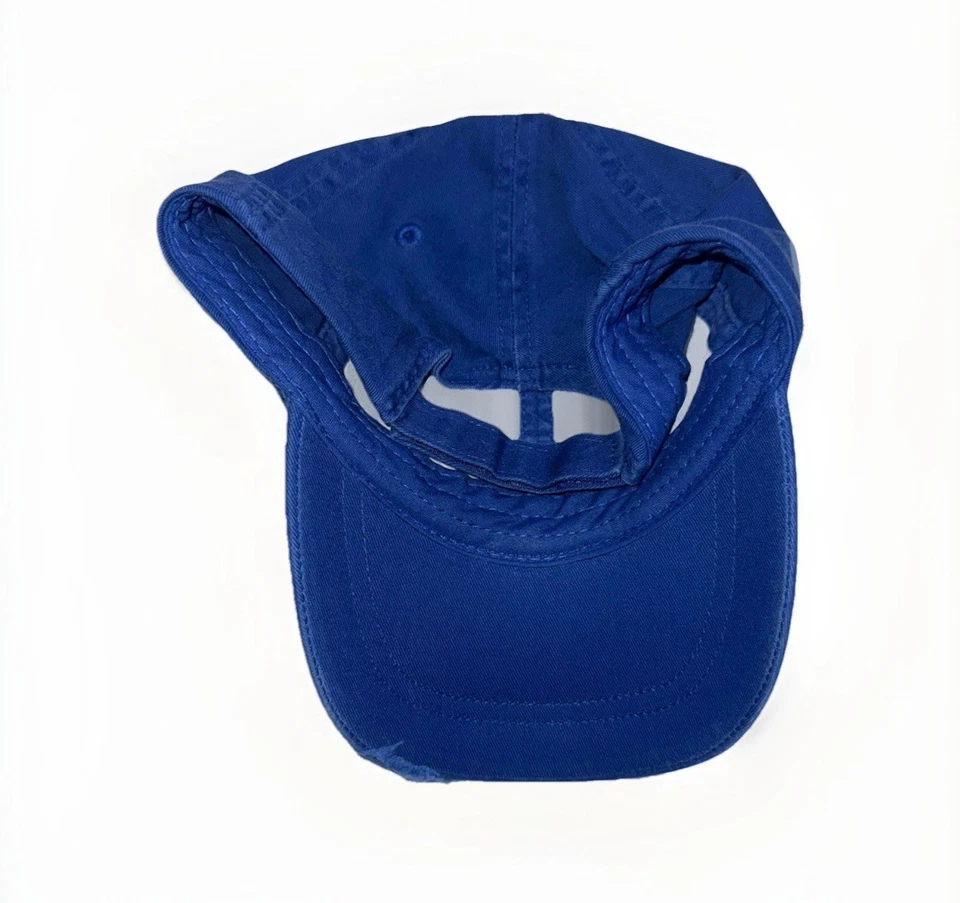 Monster University Adulto Correa Sombrero Azul OS Ajustable Envejecido Disney Foto 4 de 4