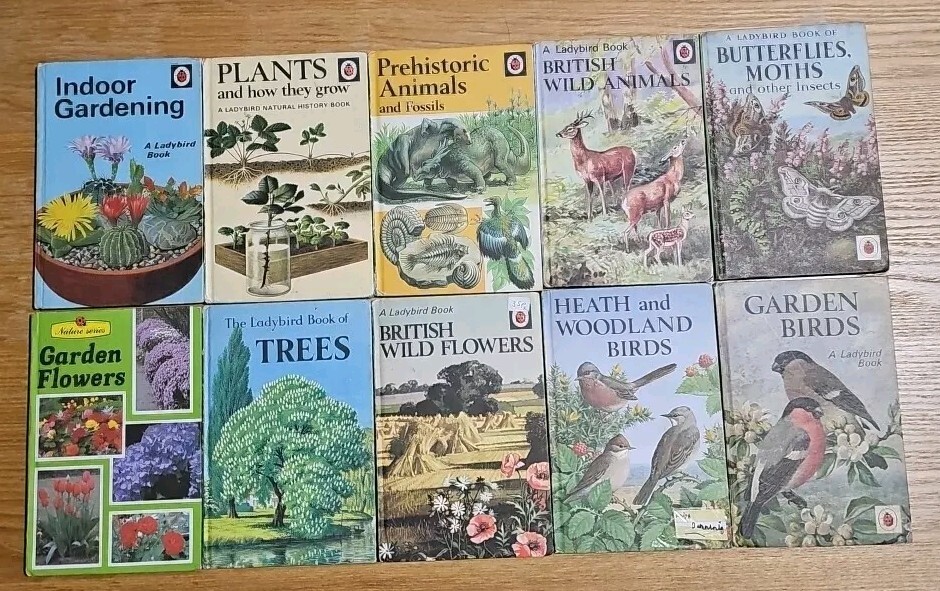 Wild Life In Britain (Ladybird Conservation Book Series 727) : Leigh - Foto 5
