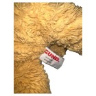 Bild 7 von 8