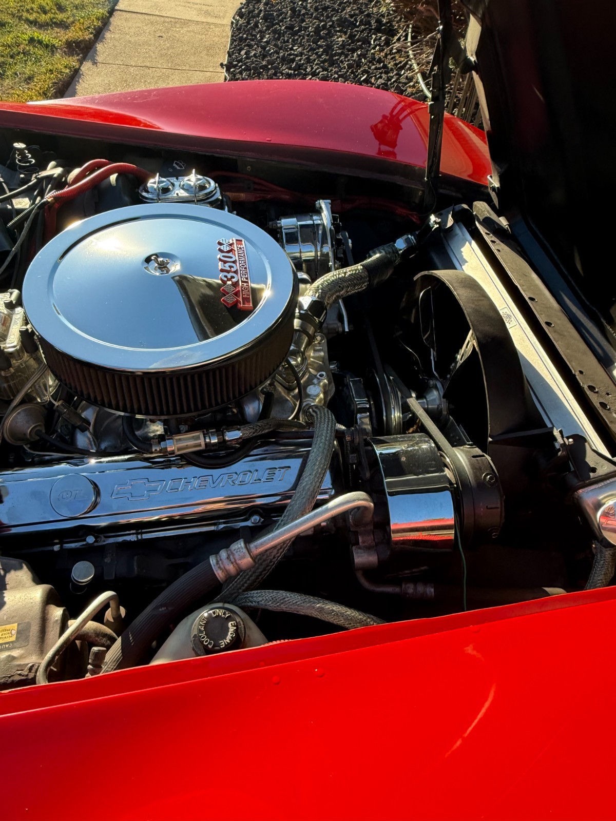 1980 Red Chevrolet Corvette   | C3 Corvette Photo 6