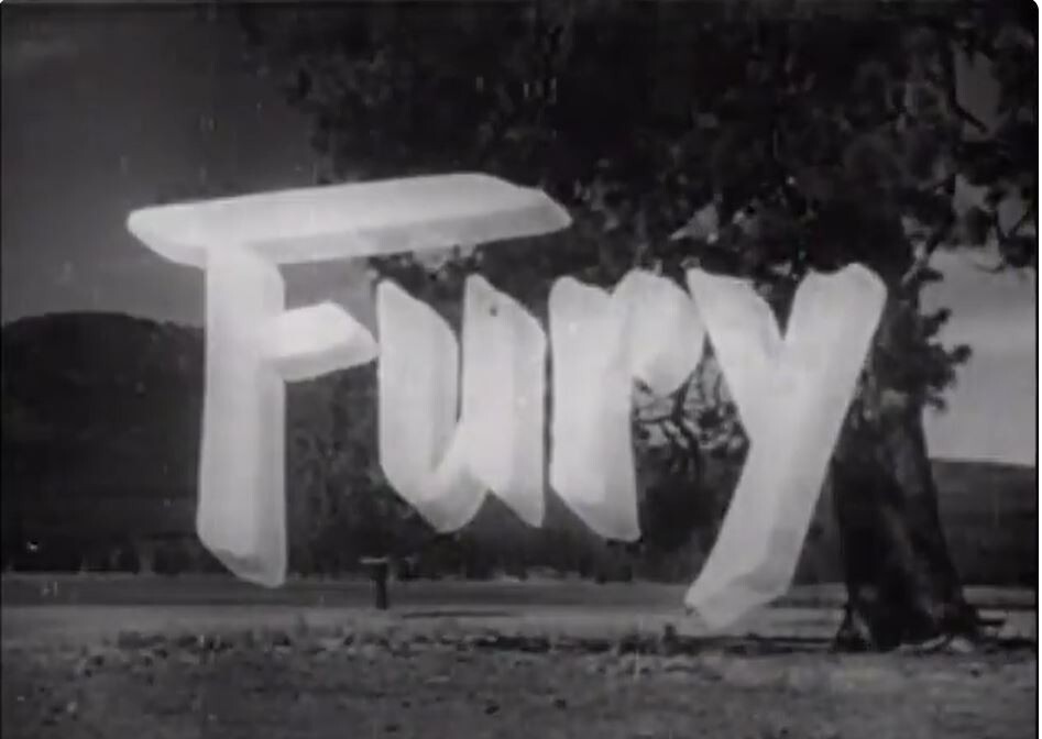FURY TV SERIES 114 EPISODES ON 19 DVDS | eBay