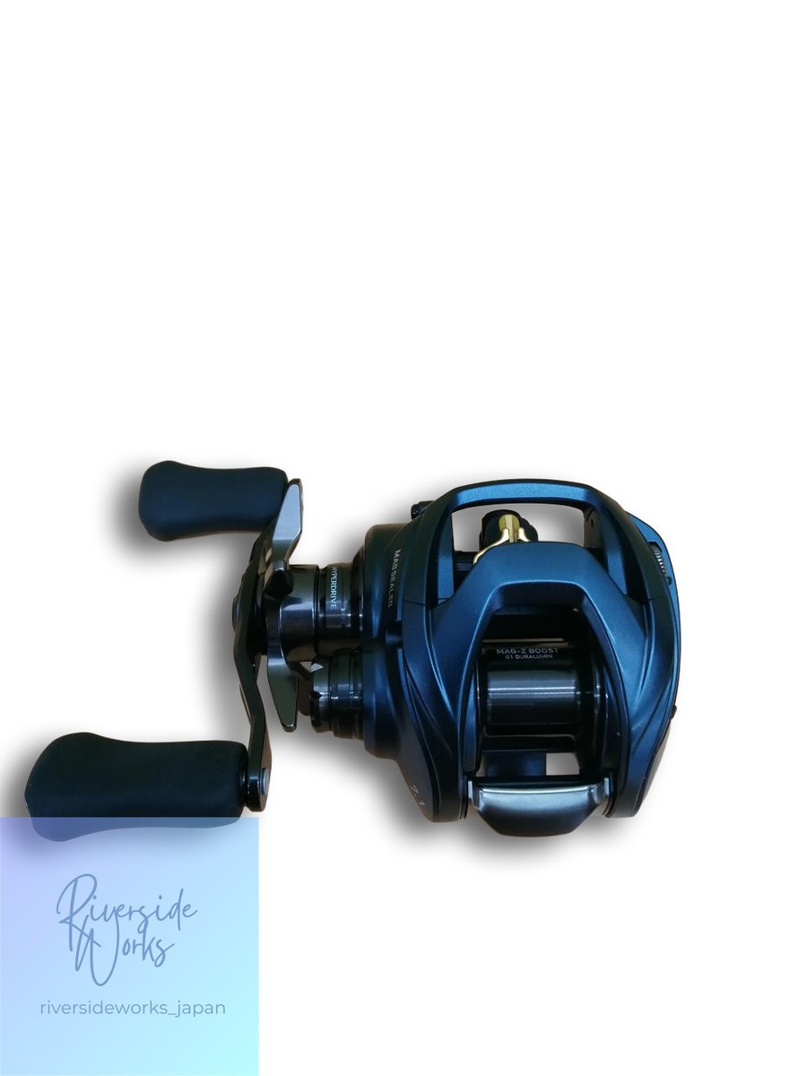 DAIWA 23 STEEZ AⅡ TW 1000HL Baitcasting Reel | eBay