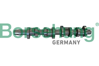 Borsehung B11306 Cam Shaft for Audi, Seat, Skoda, VW