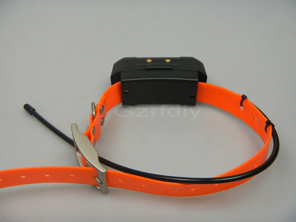 Garmin DC40 GPS collar de seguimiento para perro para Astro220/320 EE. UU. ver nueva correa naranja | eBay